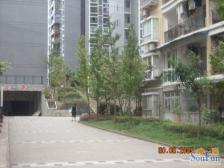 两路空港 金易星辰二房59万