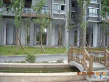 两路空港 金易星辰三房75万