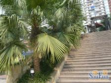 南坪东路 东海金香庭三房118万