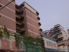 经开区 扬子江花园三房97.8万