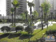 鸳鸯 丰源丽景二房76万