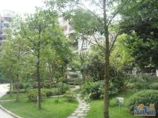 空港转盘成熟地段 配套成熟 业主安心出售