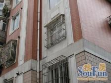 电梯房南北通总价低看房提前电话