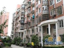 典雅公寓 3室2厅 南