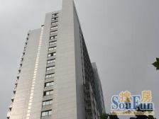 金城大厦 1室1厅 北