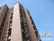 业主诚心出售 前方无遮挡 采光充足 看房方便 价格可谈