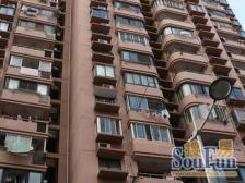 业主诚心出售 前方无遮挡 采光充足 看房方便 价格可谈