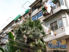 87年房龄,底楼带花园。3/8号线双轨,内环边!