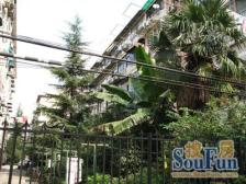 近虹口足球场,双轨交通,出行方便,层高高,全明户型