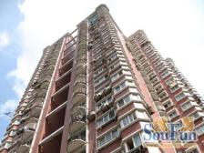 金殿苑 2室1厅 南