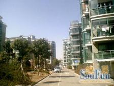 汇康公寓6室南朝向590.00万元/套出售