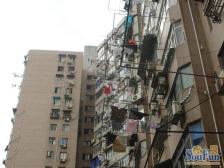 鞍山·建信大楼·1室·1厅