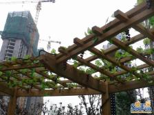 此房手续齐全,格局好,采光好,无遮挡,出行方便