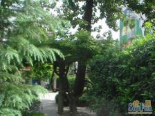 曲阳·松花小区(虹口)·2室·1厅