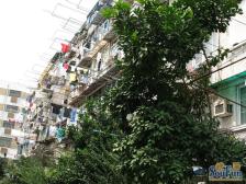 控江路18弄小区1室东朝向155.00万元/套出售