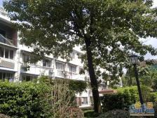 松花小区 3室1厅 南