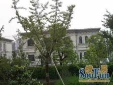 电梯房,采光好,产权清晰,急售房源