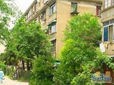 凉城·友谊三村·2室·2厅