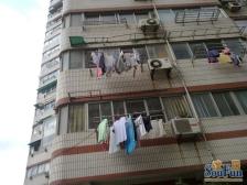 台益公寓 电梯高层 采光好 户型好 近M8号线近公园