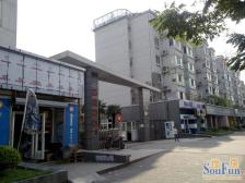 同济欣苑 3室2厅 南