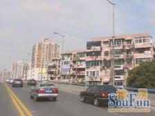 普陀区岚皋路地铁口电梯房全景玻璃窗视野好低总价