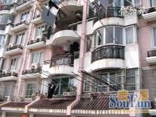 徐汇滨江电梯西边套,三阳台,高区景观房+俯瞰植物园