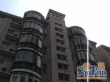 徐汇滨江电梯西边套,三阳台,高区景观房+俯瞰植物园