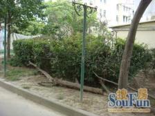 彭浦·景凤路301弄·1室·1厅