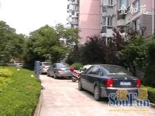 徐汇滨江电梯西边套,三阳台,高区景观房+俯瞰植物园