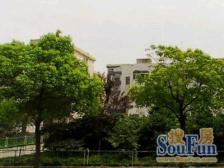 中原·市京一村·2室·1厅