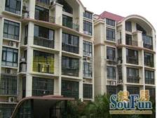 此套房是小区商品房,飞机户型 中楼层