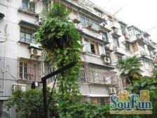 环境优美,交通便利,精装修,诚意出售