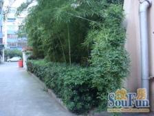 彭浦·阳曲路650弄·2室·1厅