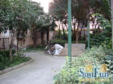 低楼层有天井,每个功能对外都有窗户,采光好