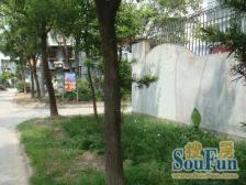 彭浦 · 景凤路380弄 · 1室 · 1厅