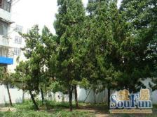 诚意出,价格好谈,欢迎询价