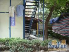 场中小区 1室0厅 南