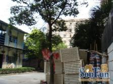 场中小区 2室0厅 南