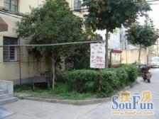 精装修!电梯已运行,配套齐全,诚意出售