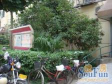 精装小户型,房龄为1995-1997年,小区整洁干净。