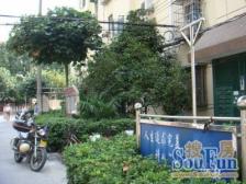 中间楼层,全明两房,采光无遮挡,拎包入住