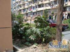 现场实勘 刚需上车 随时看房 必看好房