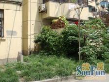 彭浦·康泉公寓-三泉路770弄·1室·0厅