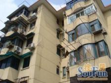 麻雀虽小五脏俱全,一楼有天井,基本都好看