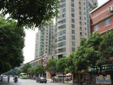 电梯房,环境优美,交通便利,诚意出售