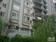 鱼洞 昌福盛景郦城二房