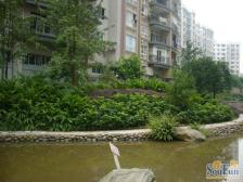 鱼洞 昌福盛景郦城一房41.2万