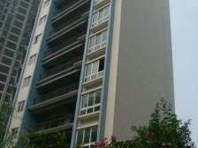 鱼洞 昌福盛景郦城四房71万