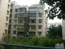 总价低 有电梯 月供低至1000元