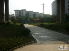 大江轻轨站旁 精装修可拎包入住 业主诚心出售看房方便